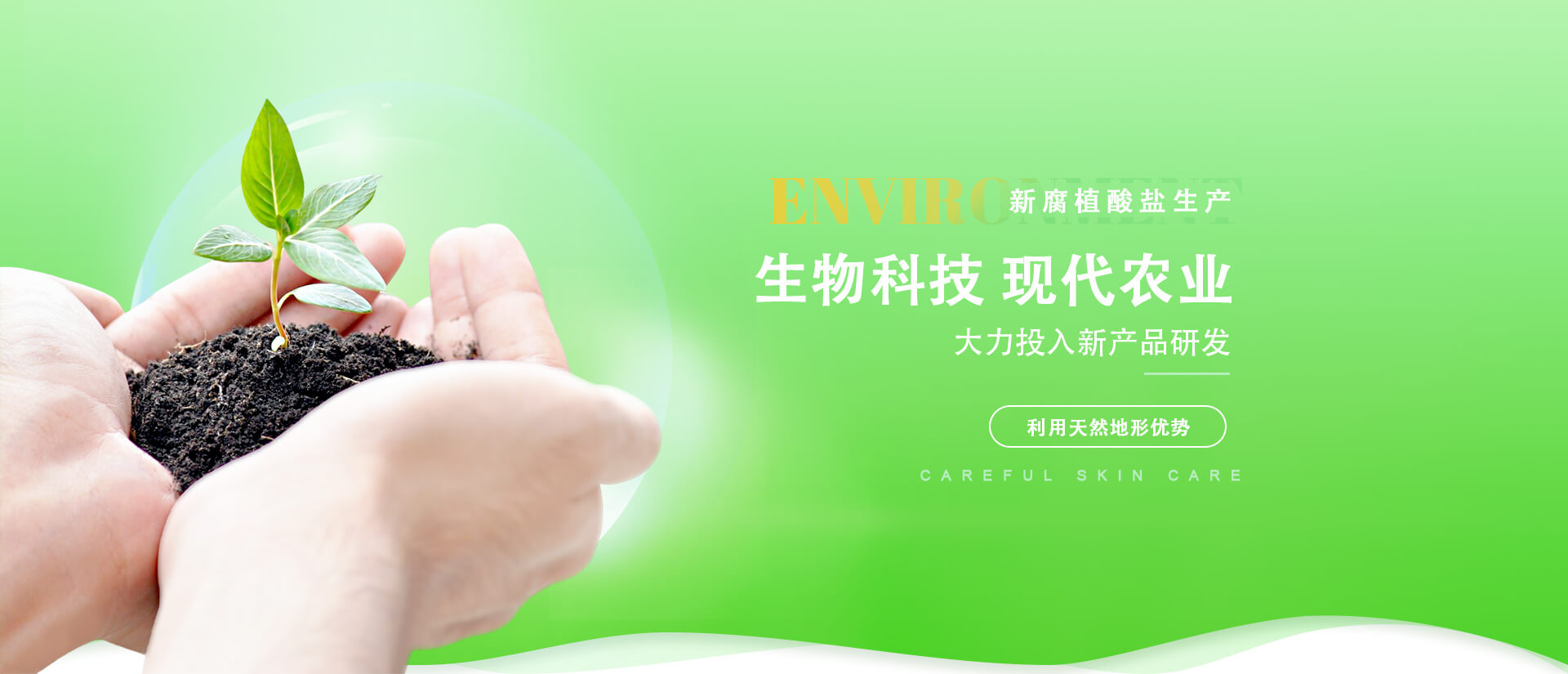 腐植酸鈉