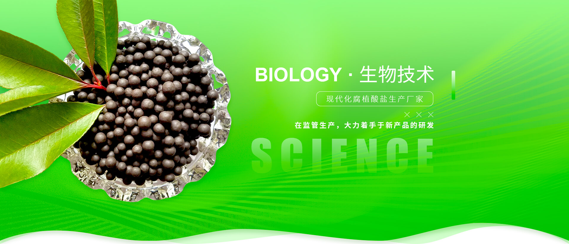 腐植酸顆粒